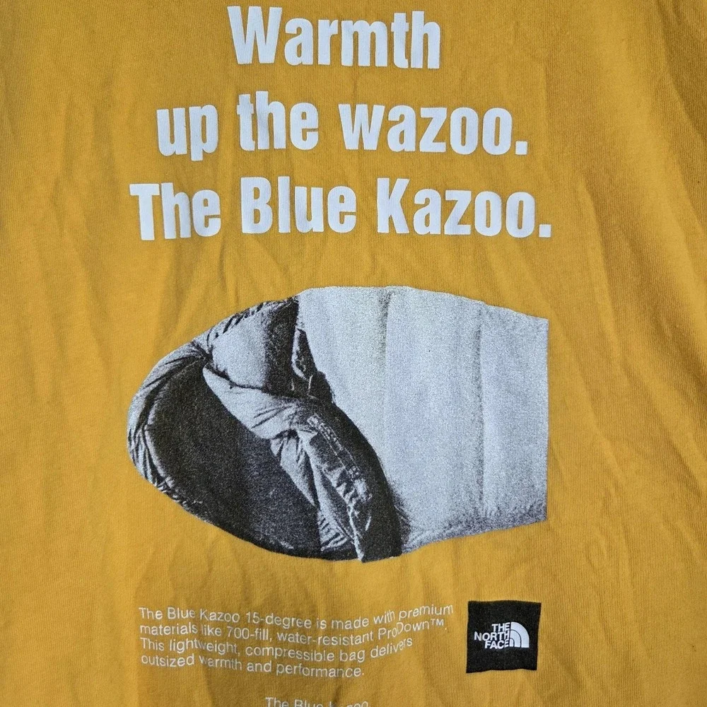 The North Face brand north